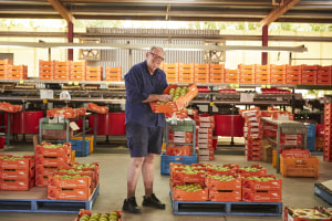 Keeping track of mangoes