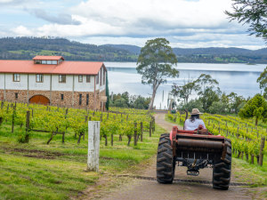 Australia's Top 50 vineyards