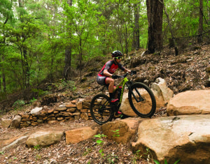 MTBA issue COVID-19 guidelines to riders