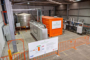 Mars Petcare: Powered by 100% renewables by 2026