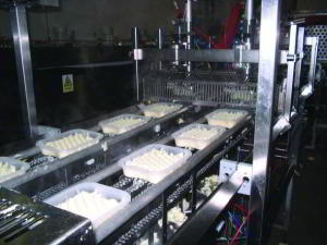 Riggs Autopack develops twin-head depositor for hot mashed potato