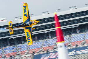 Hall could still take Red Bull Air Race series