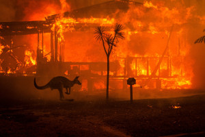 64th Annual Nikon-Walkley Press Photography Award winners announced