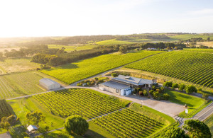 Maxwell Wines acquires Fox Creek Wines
