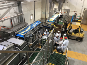 McCain's $1.8m tech upgrade for Tassie plant
