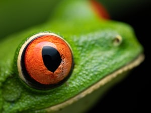 OM Digital Solutions announces 90mm f3.5 Macro lens
