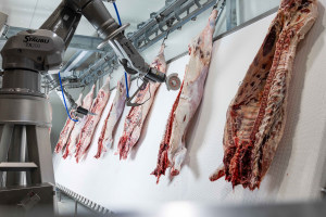Finding opportunity in the meat industry at APPEX