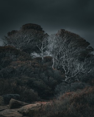 AP's free monthly photo comp August '26 'Weather' - The winners!