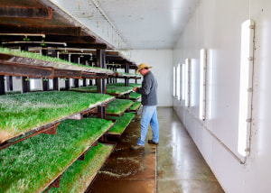 Coles Nurture Fund round eight now open