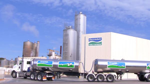 ACCC extends Murray Goulburn review