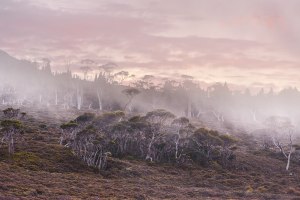 Using light in wildlife photography (part two)
