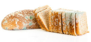 Smart packaging and food safety: AIPIA congress 