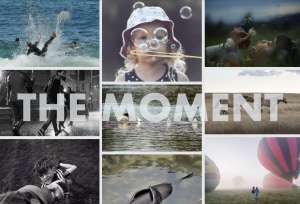 December &lsquo;The Moment&rsquo; monthly photo comp: the shortlist announced! 