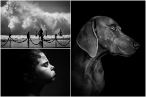 The Mono Awards 2021 - The People's Choice winners!