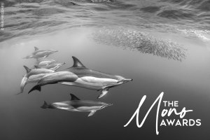 Mono Awards 2026: submissions close this Sunday night