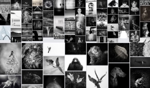 Vote now for the People's Choice of The Mono Awards 2021