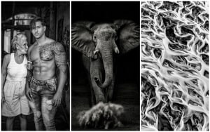 The Mono Awards 2020 - The People's Choice winners!