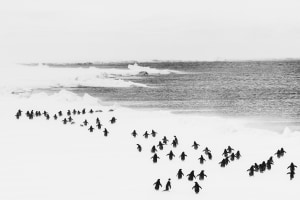 The chill factor - photography in cold weather (Part two)