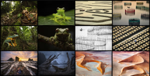 2018 Photographer of the Year presented by Panasonic: The winners