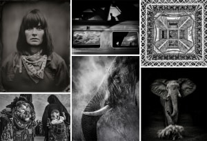 The Mono Awards 2020 - winners revealed!