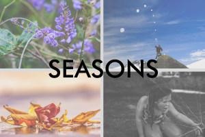 May 'Seasons' free monthly photo competition: the results! 