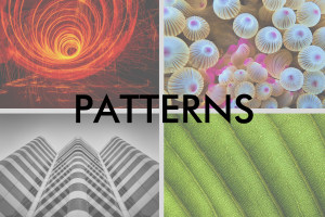 October 'Patterns' free monthly photo comp: the results!