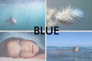 January 'Blue' free monthly comp: the results! 