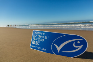 MSC: Clearer labelling on tuna packaging needed