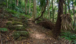 Trail crews check out Wollongong