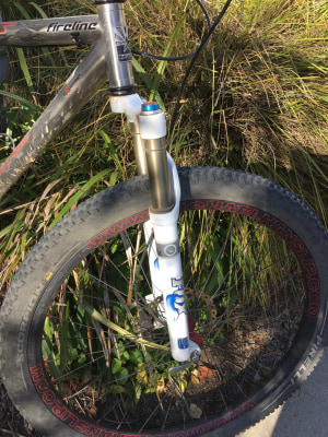 What the fork? The search for some non-tapered suspension.