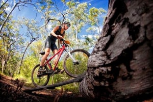 Shredding in the Sunshine