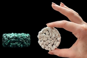 Fungi-based styrofoam start-up secures $8.5m