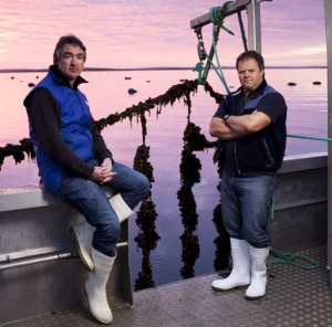 South Australian mussels set for SE Asia and China