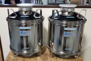 Protect vacuum pumps from failure 