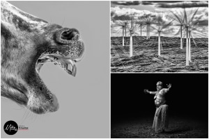 The Mono Awards 2022 - the People's Choice winners