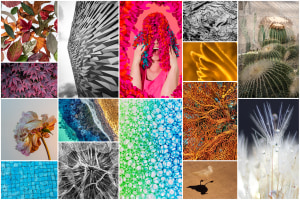 May 'Textures' free monthly photo comp: The winners!