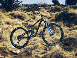 Giant didn't make a long travel Trance 29er