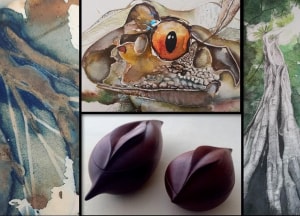 Inspiring environmental awareness: 'Naturally' exhibition opens soon