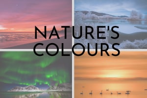 July &lsquo;Nature&rsquo;s Colours&rsquo; monthly photo comp: the results!&nbsp;