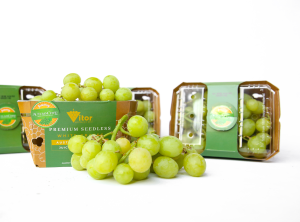Fibre packaging on the up but not without challenges