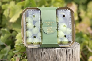 Vine-to-table grape eco-punnets come to fruition