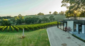 &ldquo;Very early&rdquo; merger talks for Australian Vintage, Accolade Wines