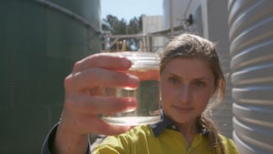 Nestl&eacute;&rsquo;s 45m litre water savings at Gympie plant