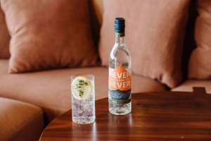 Gin of the Never Never