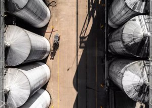 New NSW grant program offers agrifood sector support