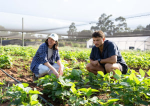 EFWA, Hort Innovation tackle on-farm surplus challenge