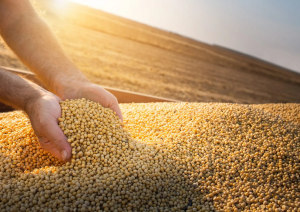 IFF submits ANZ heart health claim for soy protein approval