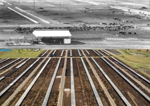 50 years of JBS Beef City
