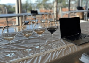 Tassie sparkling wine shines at 2025 ASWS