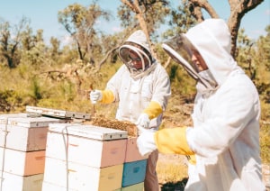 WA gov continues to support agrifood industry expansion